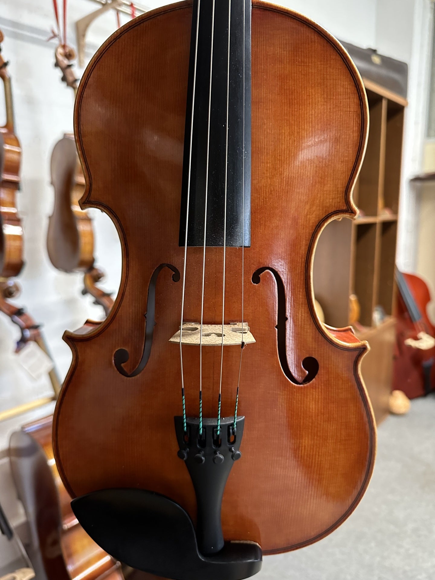 Viola de Arco 2023